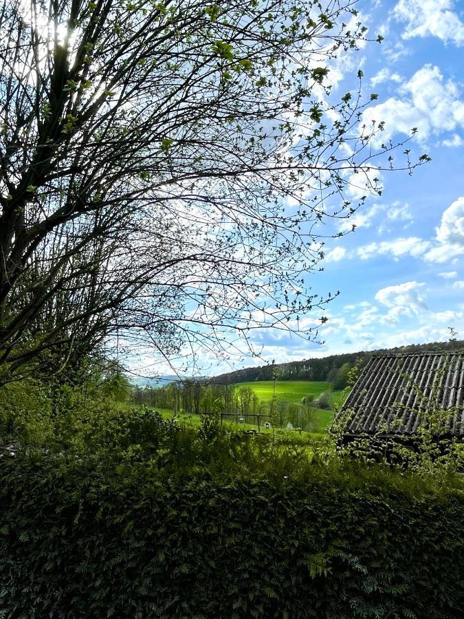 Ferienhaus Kleine Auszeit In Der Natur Mit Kamin, Yogamatten, Schoene Kueche Extertal Exterior foto